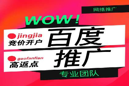 SEM代理助力品牌：案例解析与优化策略